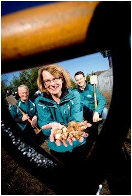 UU Volunteers holding crocus bulbs